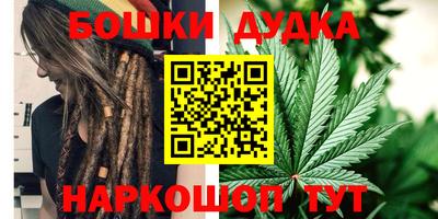 индика Лесосибирск