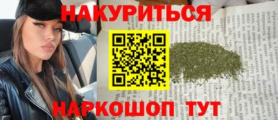 индика Лесосибирск