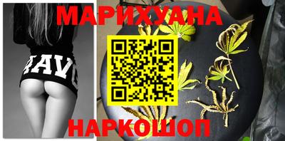 индика Лесосибирск