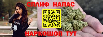 индика Лесосибирск