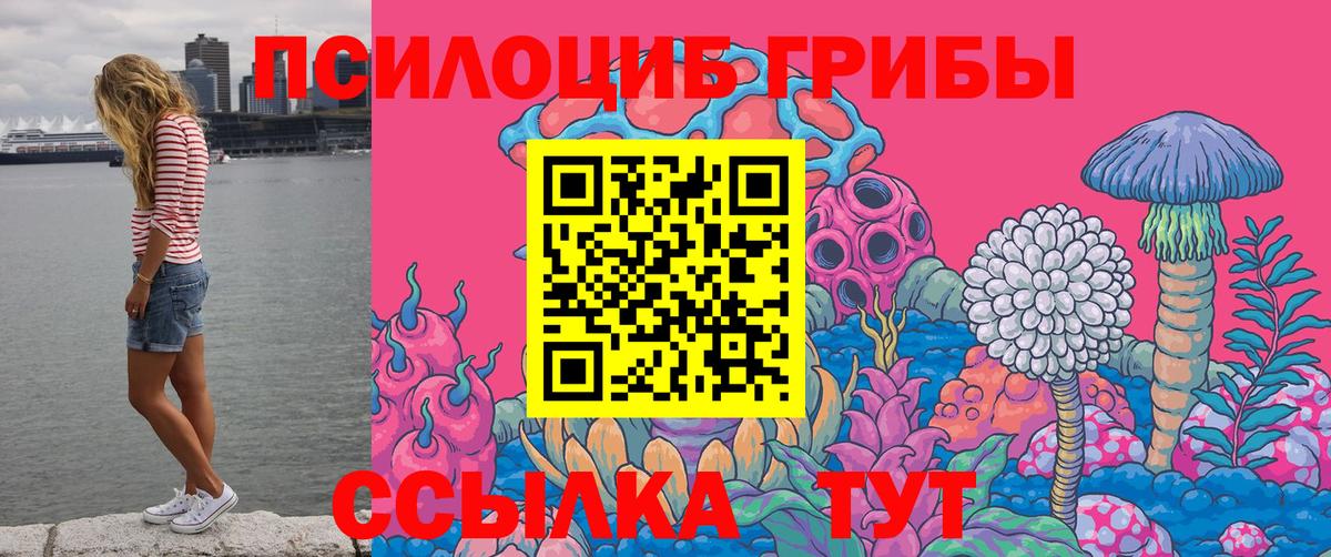Псилоцибиновые грибы MAGIC MUSHROOMS Тверь