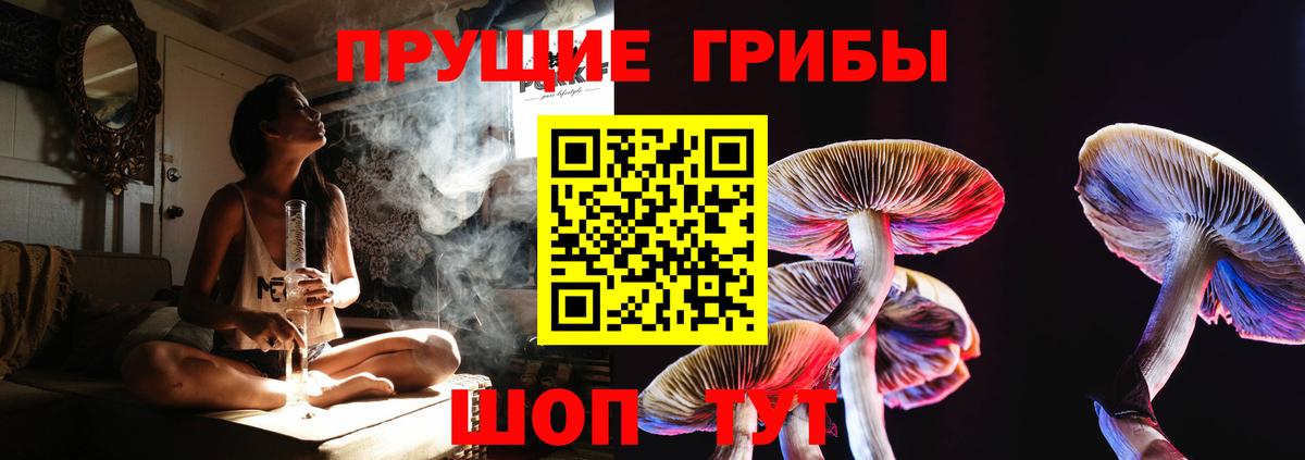 Тверь  наркота  Вход с VPN  Галлюциногенные грибы мухоморы 
